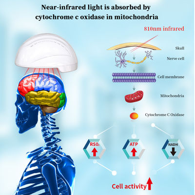 casco infrarrojo de Photobiomodulation de la luz de 810nm LED para la mejora de Alzheimer