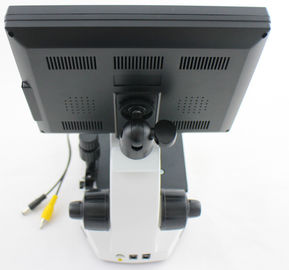 Microscopia capilar profesional del microscopio/del repliegue del dermis de la microcirculación con la cámara de vídeo del CCD